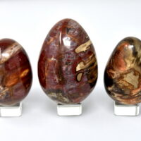 Petrified Wood Egg