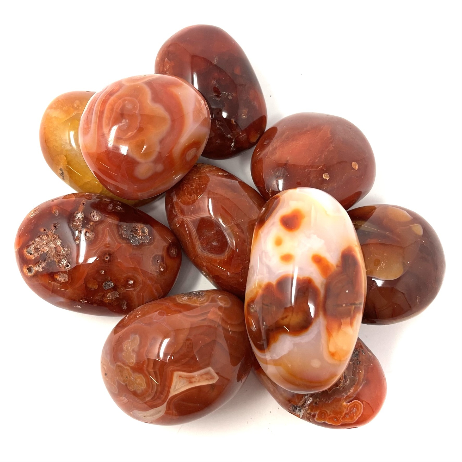 Carnelian Gallet - Image 3