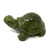 Serpentine Turtle