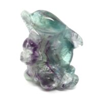 Fluorite Double Dolphin