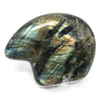 Labradorite Zuni Bear