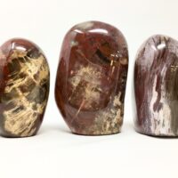 Petrified Wood Free Form