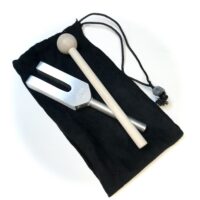 Metal Tuning Fork