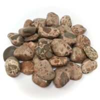Leopardite Jasper Tumble