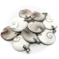 Shell Fossil Pendant with Silver Bale