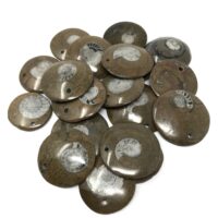 Ammonite Fossil Pendant