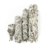 White Sage Smudge Stick