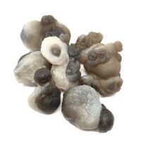 Botryoidal Chalcedony Rough