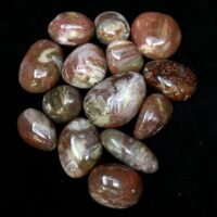 Petrified Wood Gallet