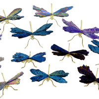 Dragonflies Aura Kyanite